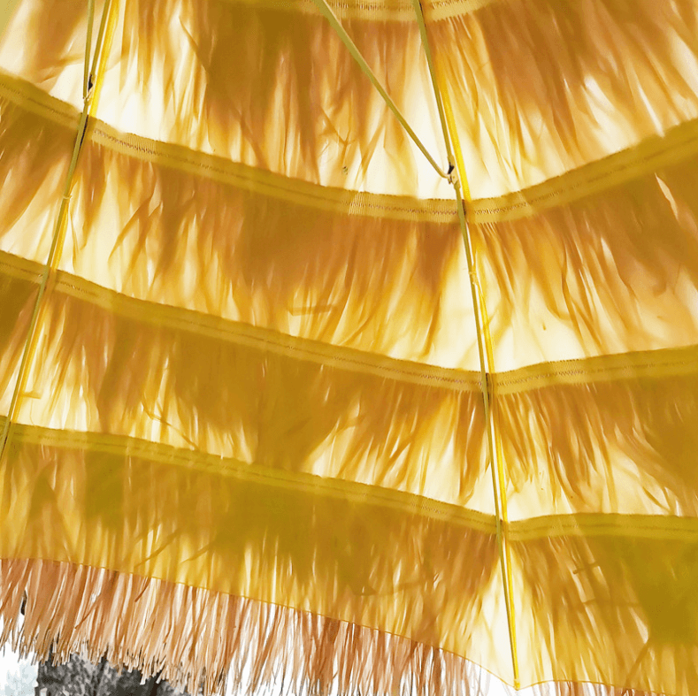 QQ图片20230301231838