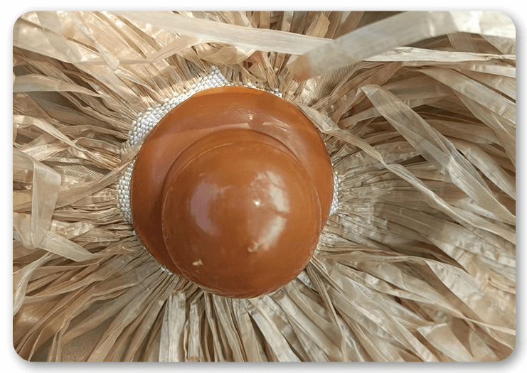 QQ图片20230301214140