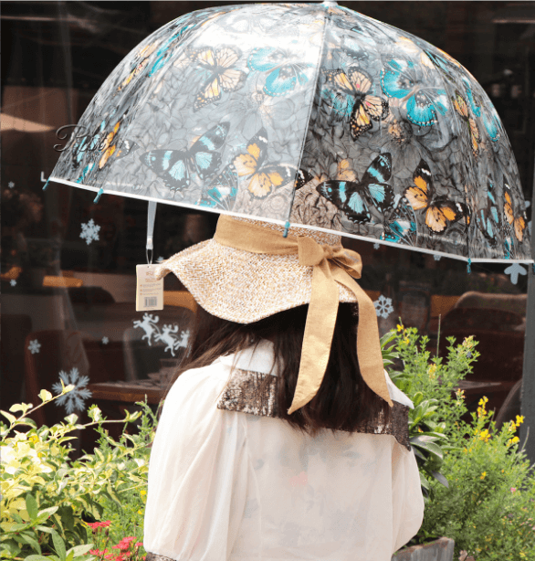 Fashion Dome Apollo Straight Transparent Clear Umbrella 