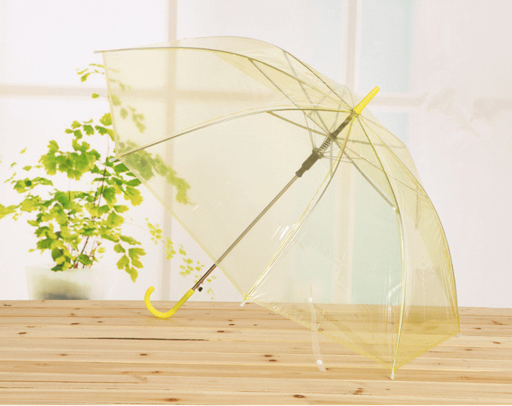 Cheap Auto Open Clear Transparent Umbrella For Promotion 