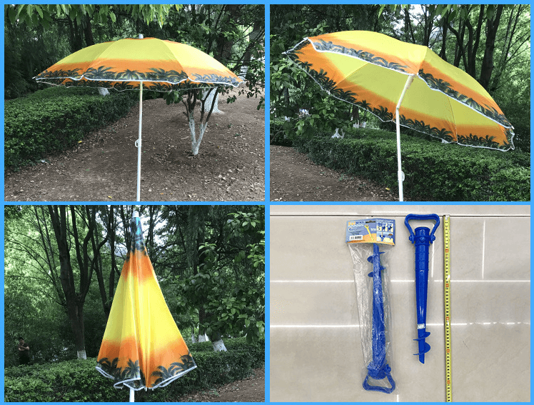 黄树1-4（带转向）