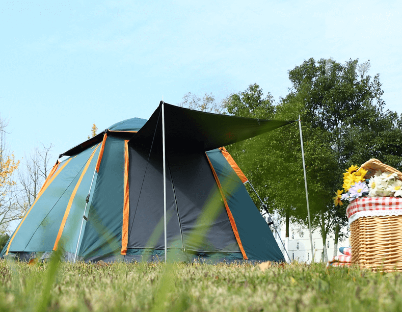 墨绿色（黑胶）5