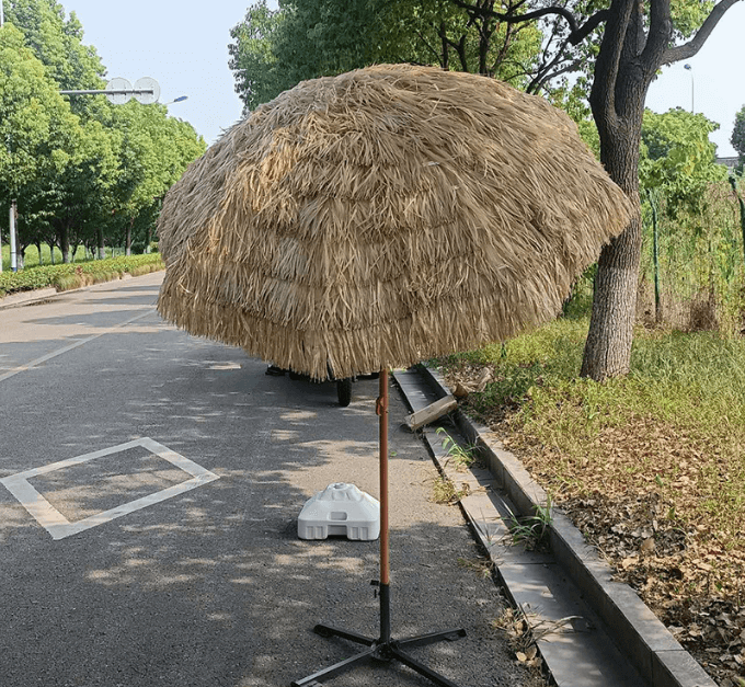 QQ图片20230301214114