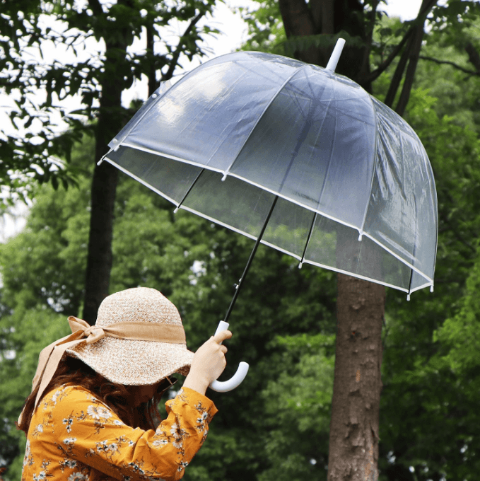 Fashion Dome Apollo Straight Transparent Clear Umbrella 