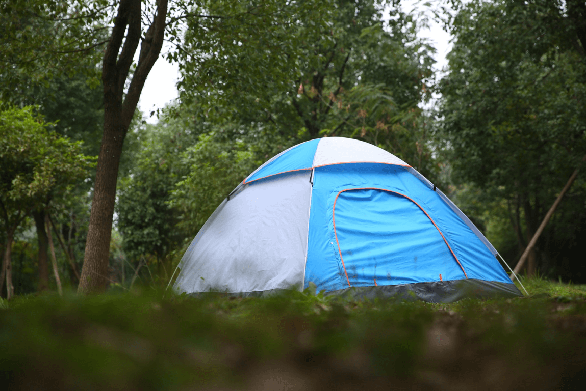 QQ图片20221120151032