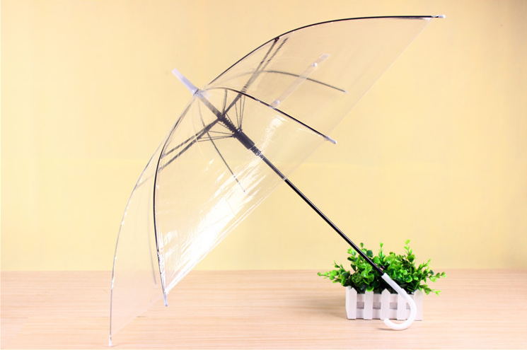 QQ图片20221121171924