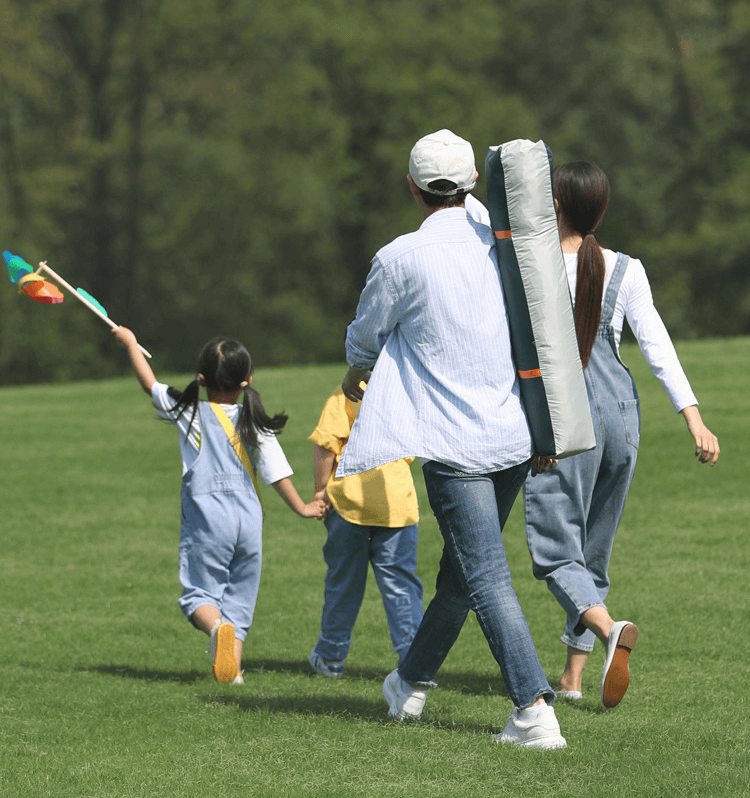 墨绿米黄拼色黑胶7（两门两窗）