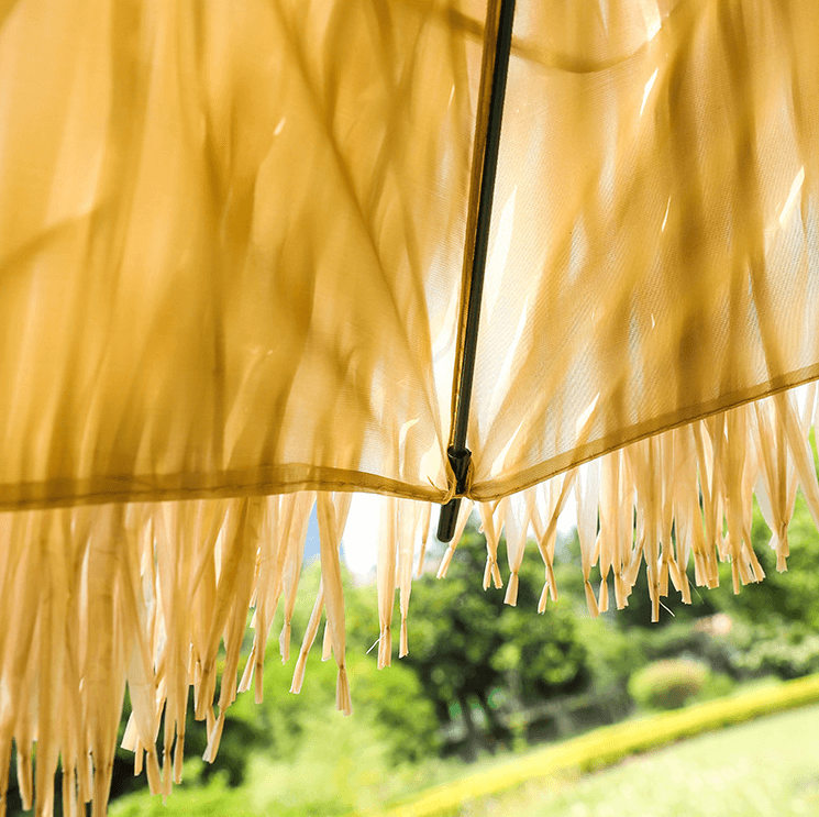 QQ图片20230303084607