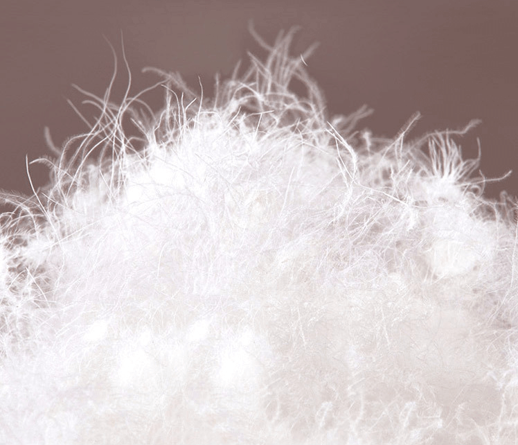 QQ图片20230111165226