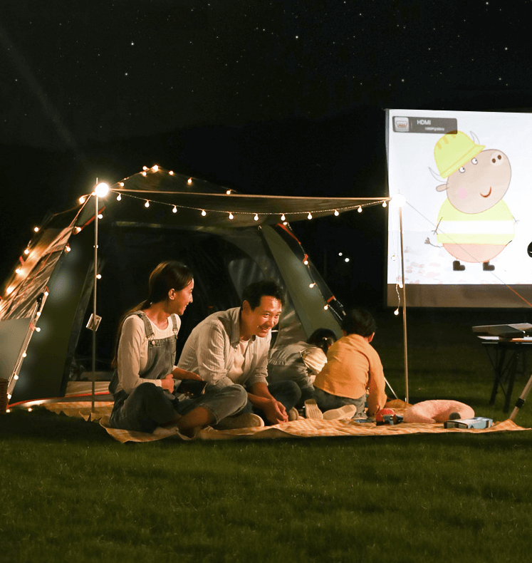 墨绿米黄拼色黑胶4（两门两窗）