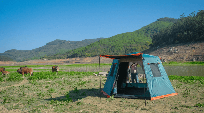 墨绿黑胶7（铝杆）