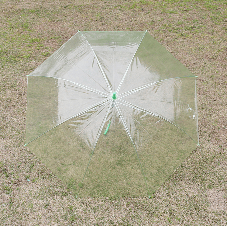 Cheap Auto Open Clear Transparent Umbrella For Promotion 