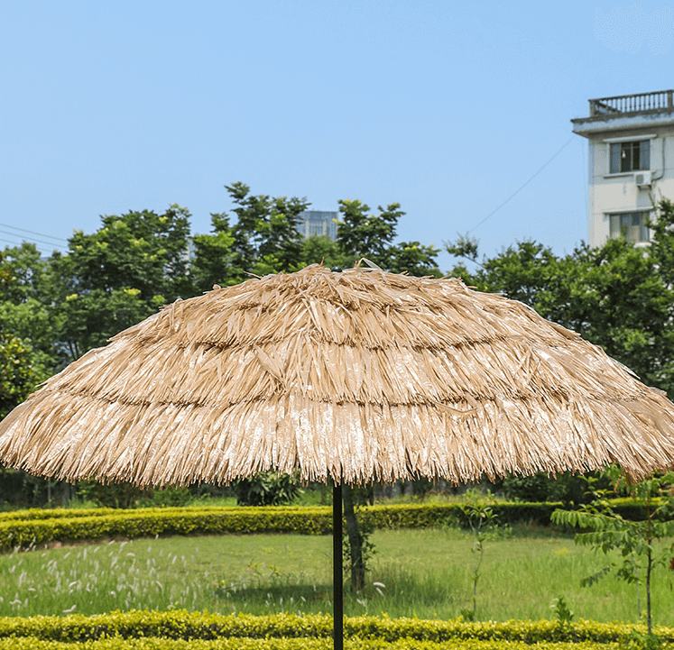 QQ图片20230303084532