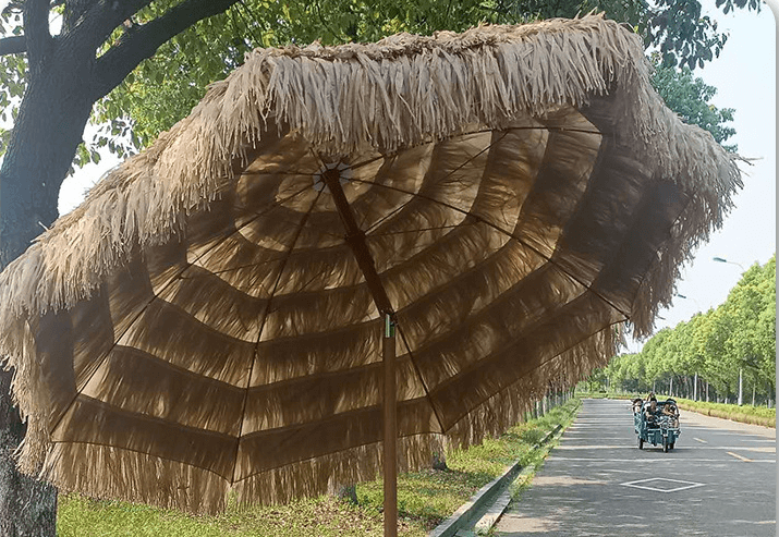 QQ图片20230301214119