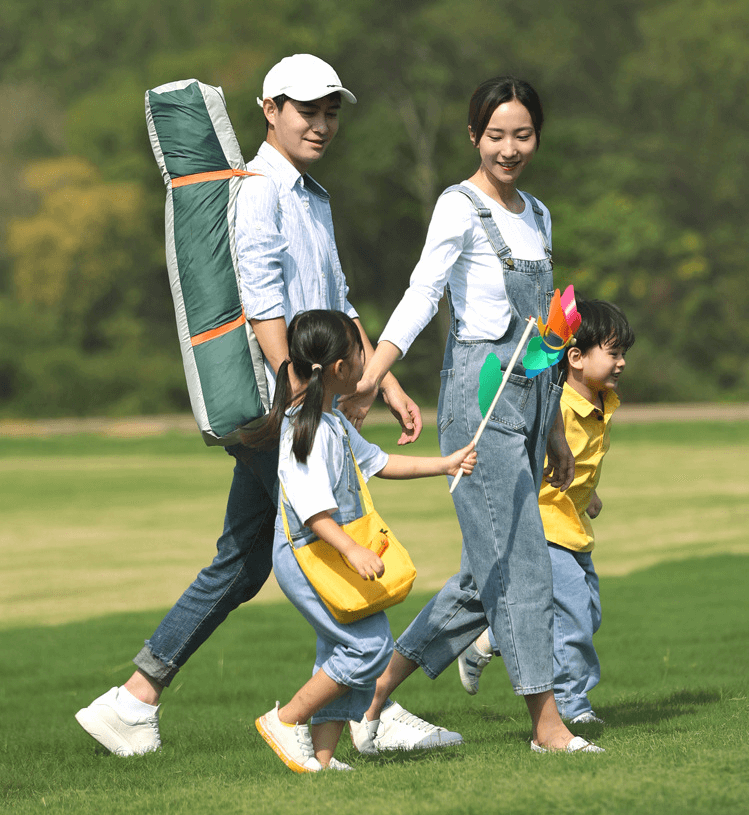 墨绿米黄拼色黑胶6（两门两窗）