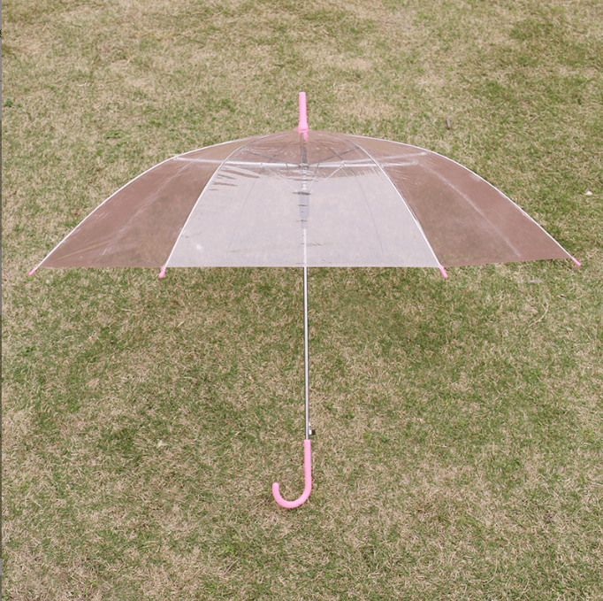 Cheap Auto Open Clear Transparent Umbrella For Promotion 