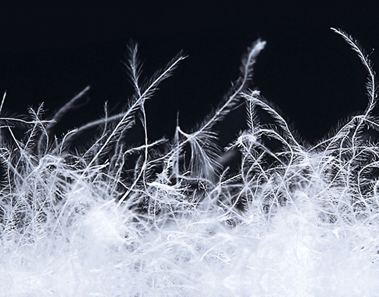 QQ图片20230111161248