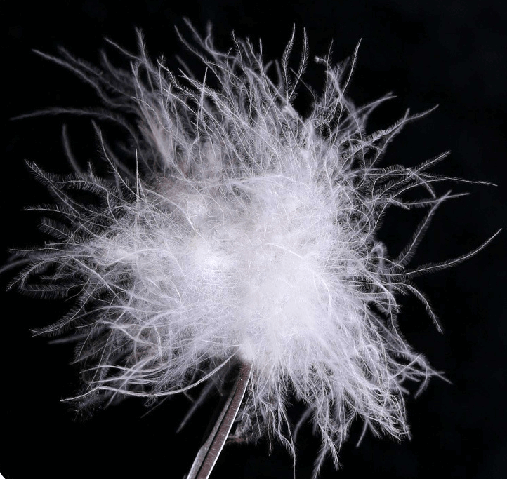 QQ图片20230111153921