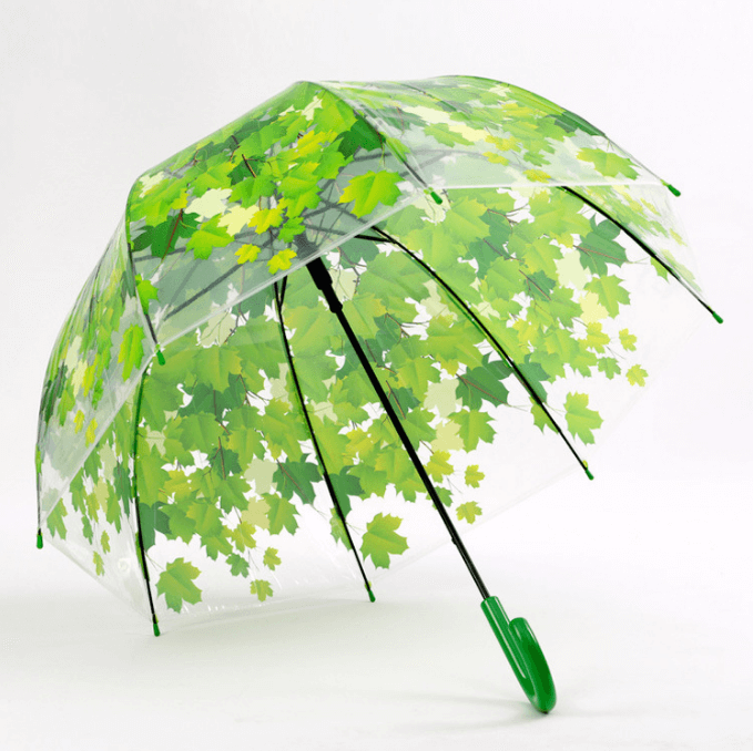 Fashion Dome Apollo Straight Transparent Clear Umbrella 